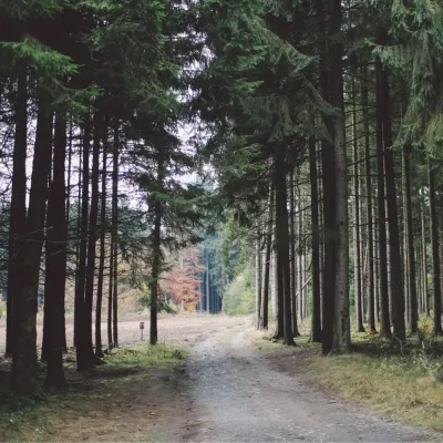 Province Luxembourg - Semaine Immo - Notaire.be