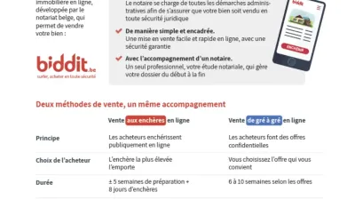Infographie juridique détaillant les méthodes de vente via la plateforme en ligne Biddit.