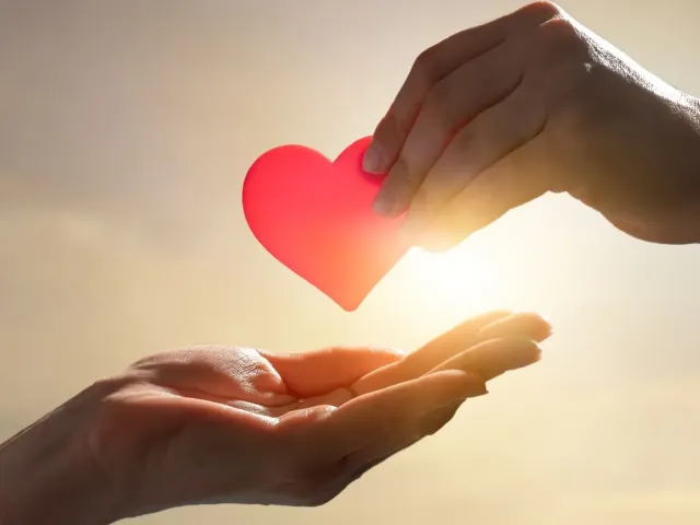 Oeuvre Caritative - Notaire.be