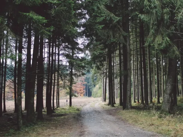 Province Luxembourg - Semaine Immo - Notaire.be