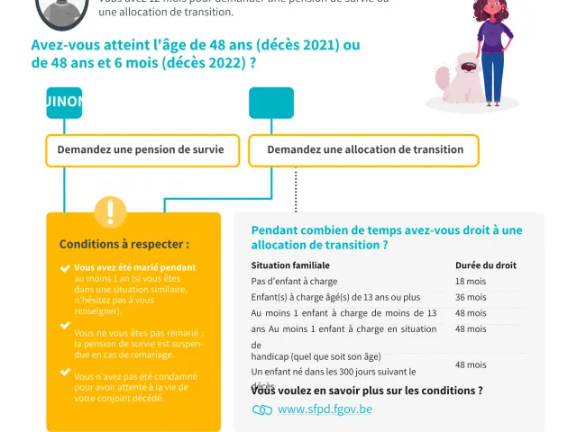 Fiche informative sur la pension de survie et l'allocation de transition en Belgique.