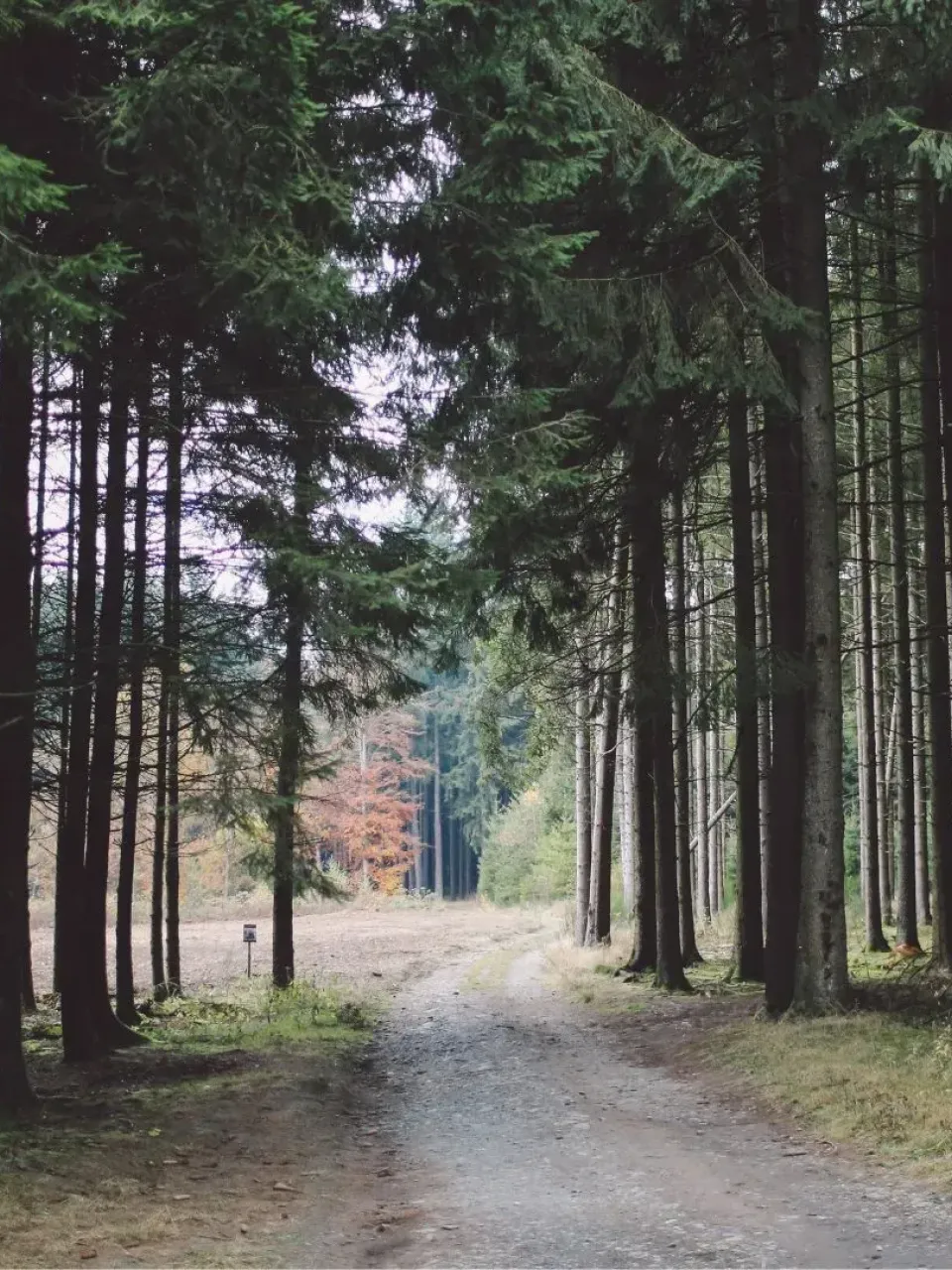 Province Luxembourg - Semaine Immo - Notaire.be