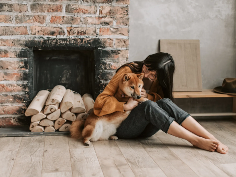 Que deviendra votre animal de compagnie si vous ne pouvez plus vous en occuper ?
