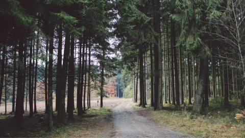 L'immobilier dans la Province du Luxembourg en 2025